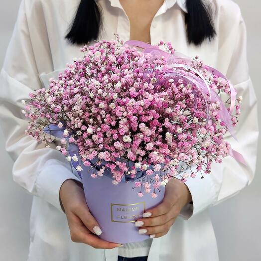 Pink gypsophila tenderness for girls