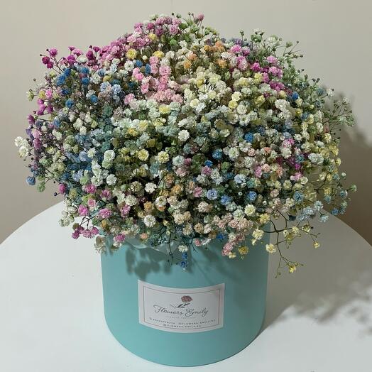 Rainbow gypsophila in a hatbox