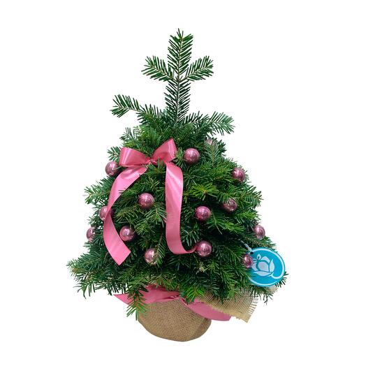 Елка розовая