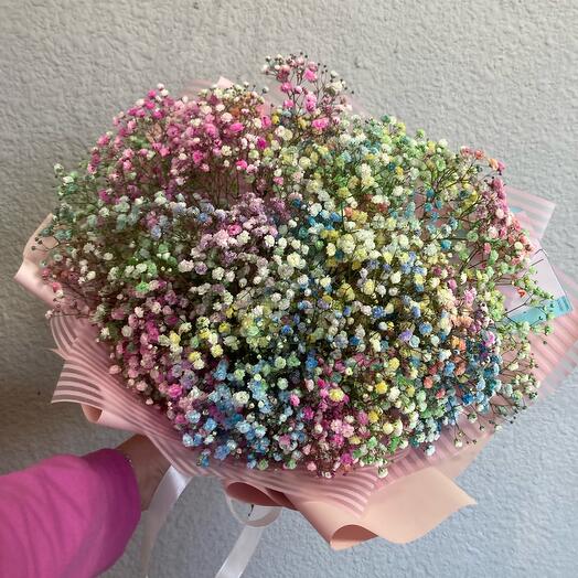 Ramo de gypsophila arcoíris (7vetochek)