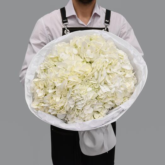 Ramo de aire de hortensias blancas