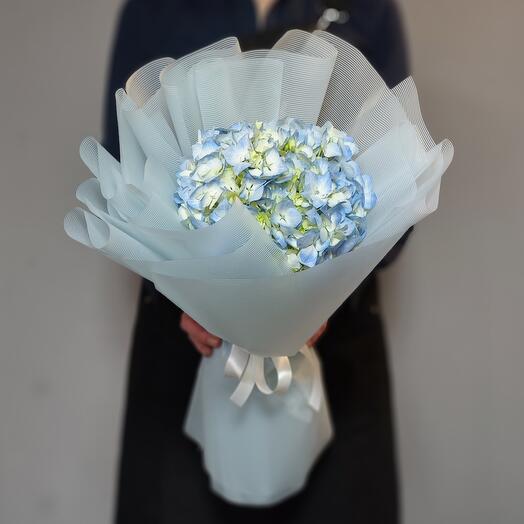 Monobooket de Hortensia azul "sangre Azul"