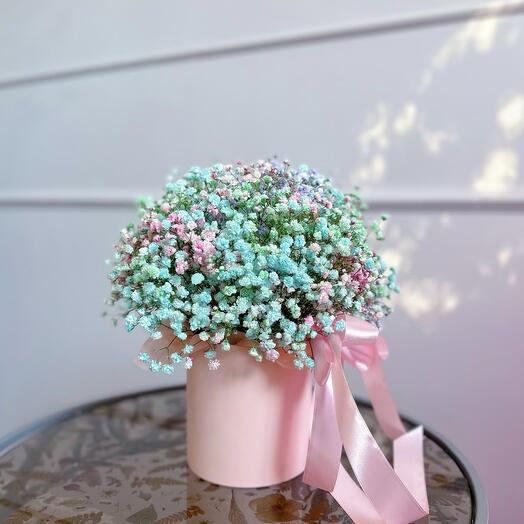 Composition of rainbow gypsophila