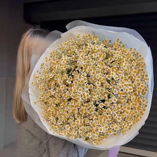 Букет  ромашек