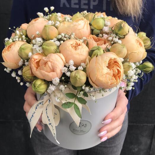Пионовидная кустовая роза🎁
