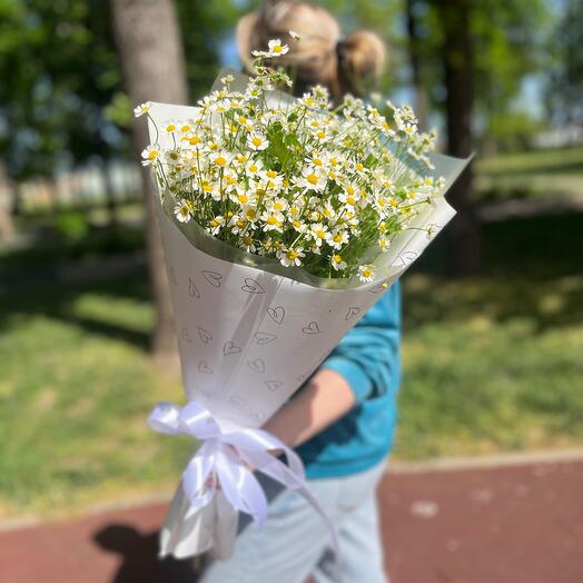Букет из Ромашек