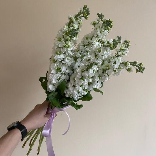 Букет из 9 белых маттиол