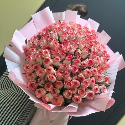 101 ROSES OF JUMILIA