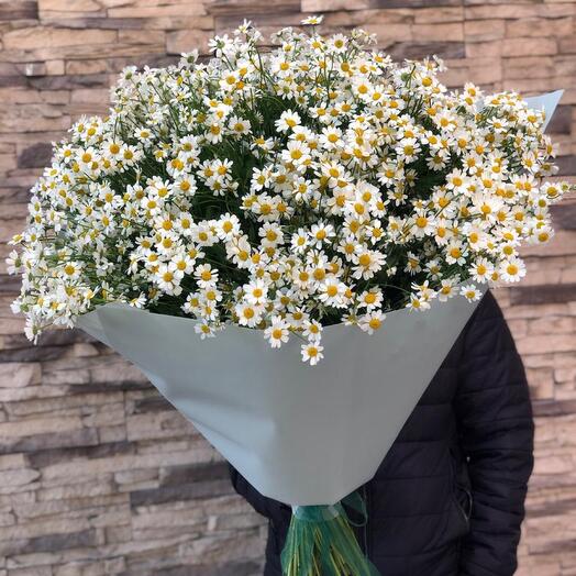Букет из ромашек 2