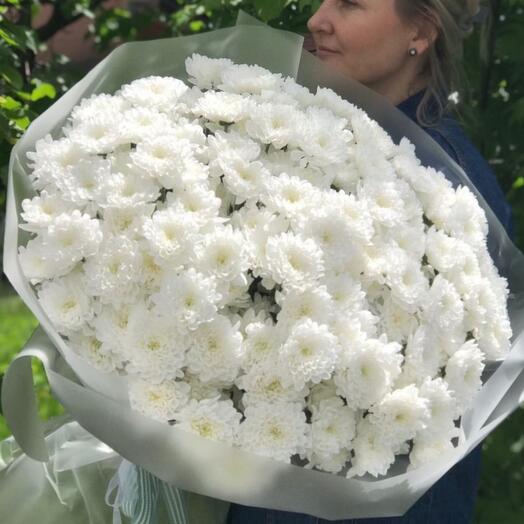 25 хризантем Алтай