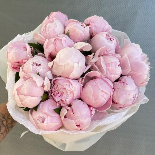 Розовые пионы Сара Бернар 17 штук 😍