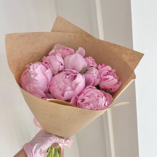 Пионы розовые Sara Bernar 9 Wow