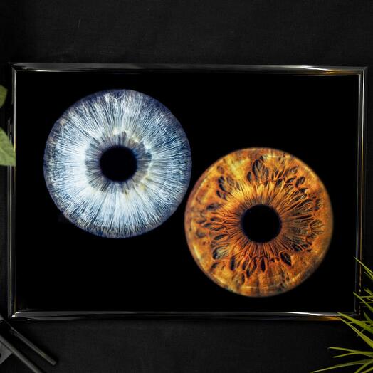 Certificate for an A4 photo with the iris of your loved one's eyes