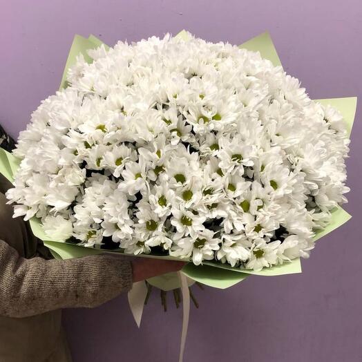 Букет из 19 кустовых хризантем