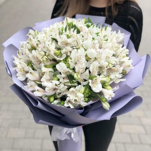 Букет из 25 белой альстромерии