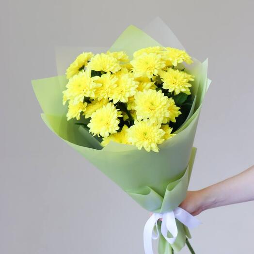 Хризантема 3 шт