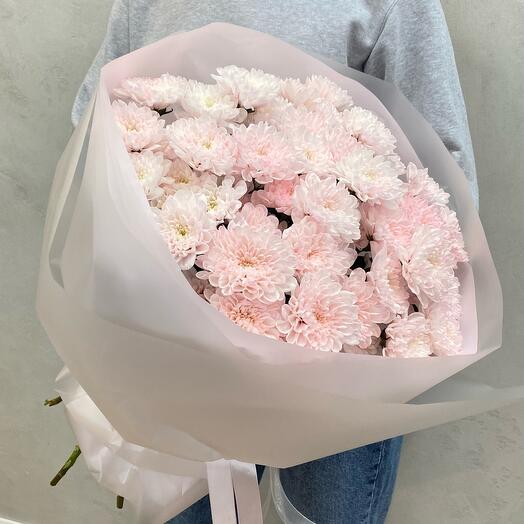 Pink velvet from bush chrysanthemums