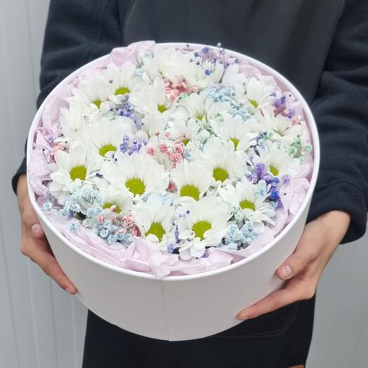 Caja M con gypsophila iridiscente y crisantemo de manzanilla