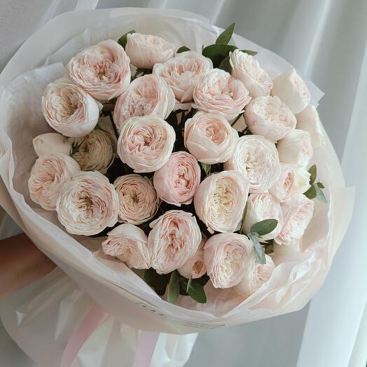 Пионовидные розы " Редженс 🌷 "