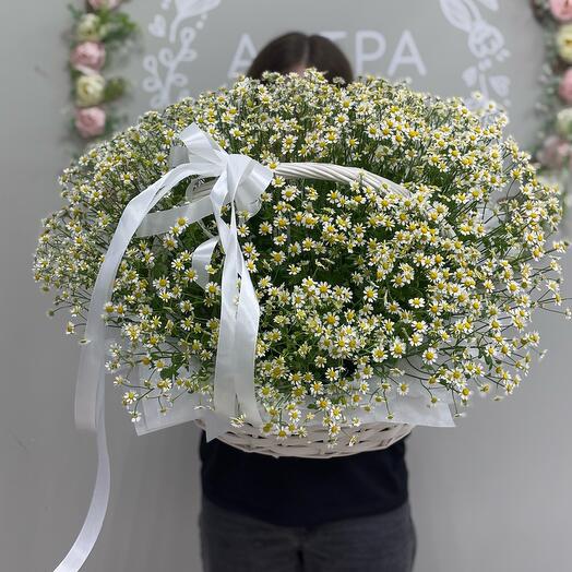 Корзина с РОМАШКАМИ (21)