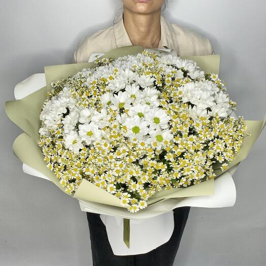 Ромашки