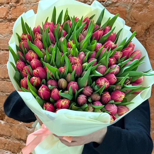Тюльпан Пионовидный «клубничка»