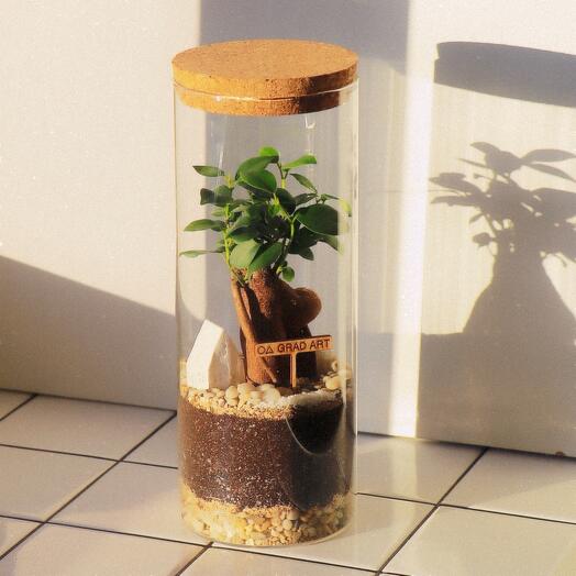 Экосистема с бонсай