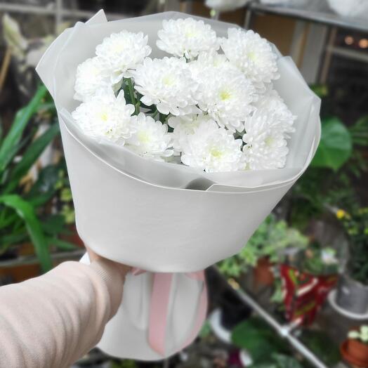 Нежная хризантема 🤗