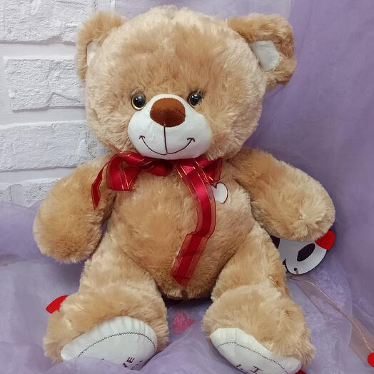 The "Handsome" bear