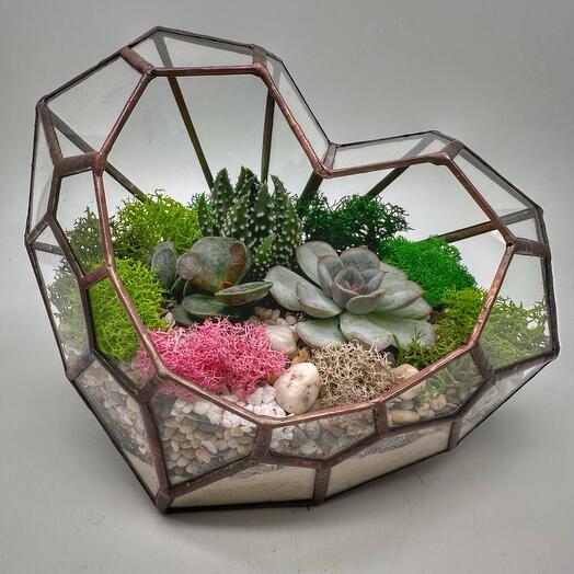 Florarium Corazón con suculentas