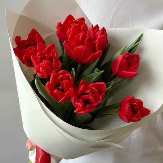Букет из 9 красных пионовидных Тюльпанов