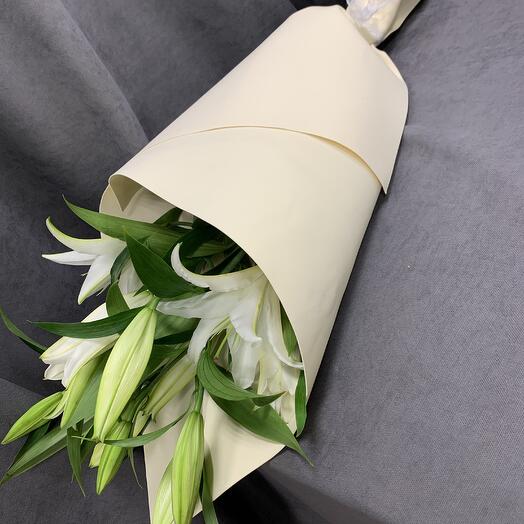 Лилия белая