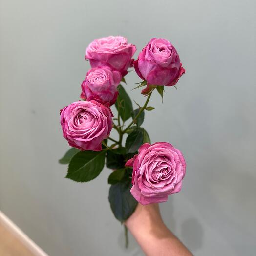 Кустовые розы