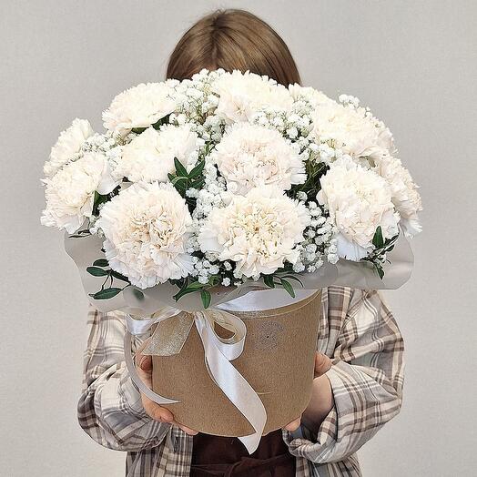 Диантус Brut в коробке