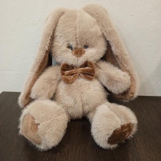 Зайчонок кофейный