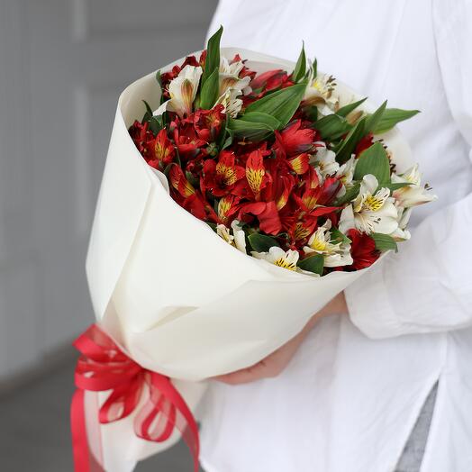 Букет красная и белая альстромерия