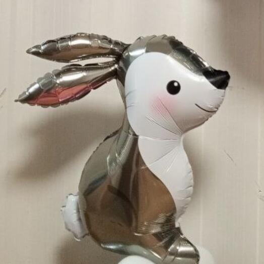 Шар заяц серый