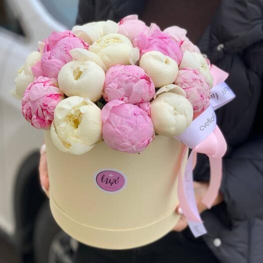 Пионы в шляпной коробке