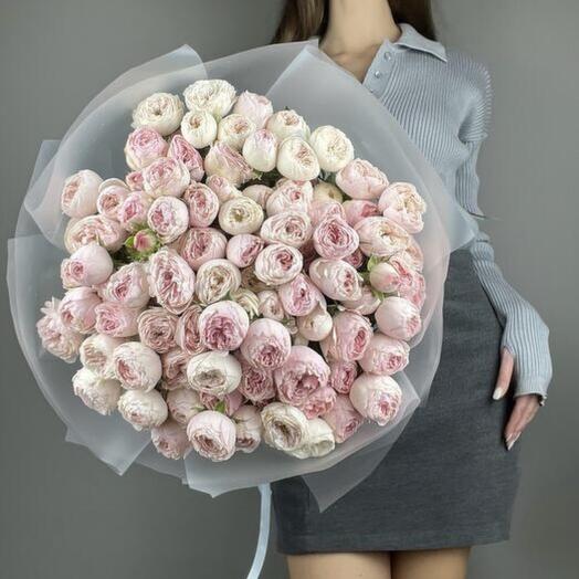 Mansfield Park Кустовая Роза Пионовидная