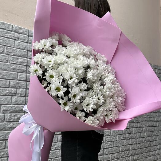 Букет из 15 ромашковых хризантем в розовой упаковке