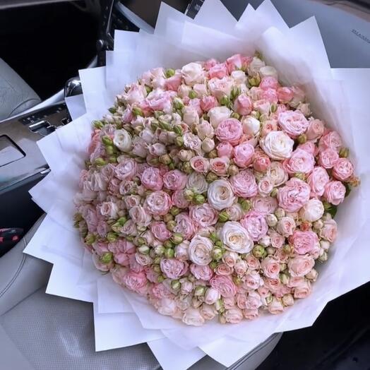 101 кустовая пионовидная Роза 🥰