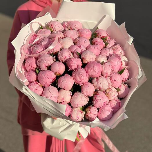 Пионы розовые 51 штука букет 51 пион
