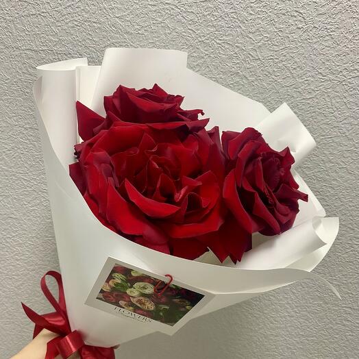 Букет комплимент из красной французской розы 🌹