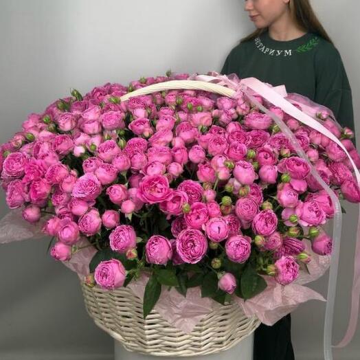 WOW-корзина из 101 кустовой пионовидной розы «Мисти Баблз»