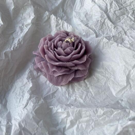 Свеча Пион сиреневая