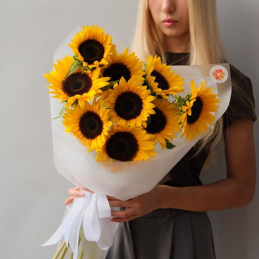 Подсолнухи 9 штук