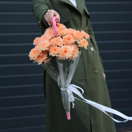 Хризантема в зонтике