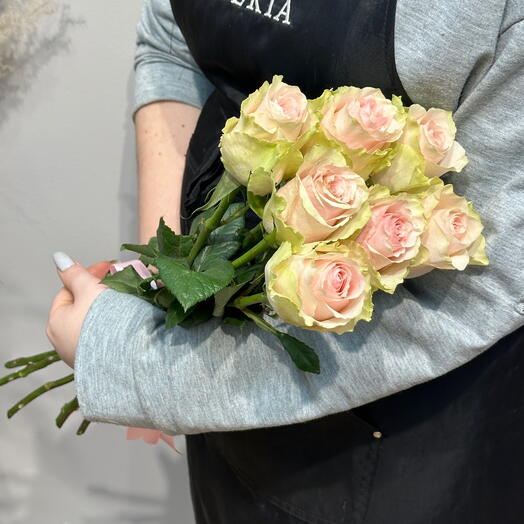 7 розовых роз Эквадор (02010383)