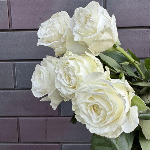 Букет из 5 белых роз