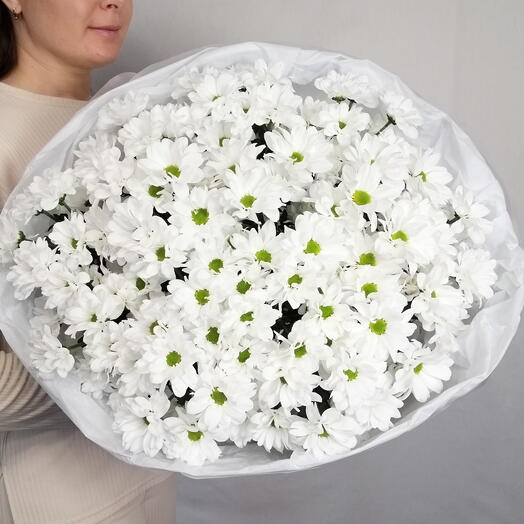 🌿Монобукет "PERVOЦВЕТ" из 15 пышных кустовых Ромашковых хризантем